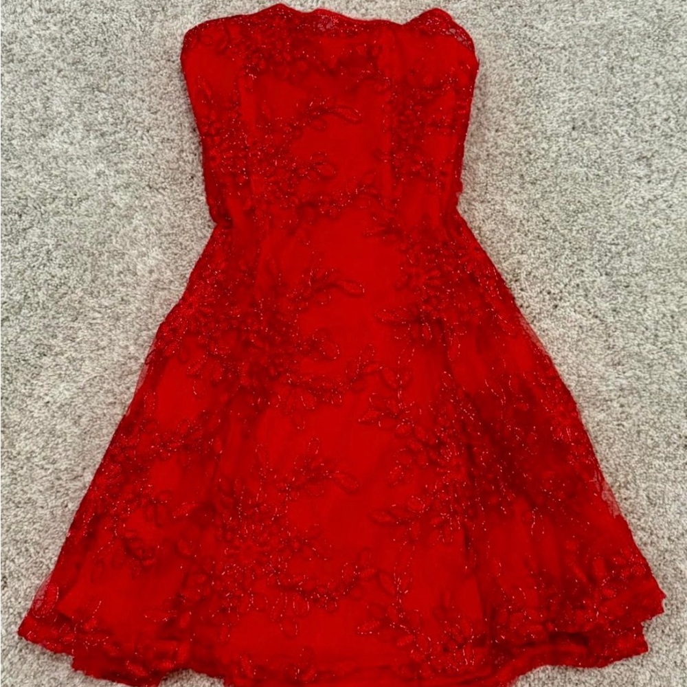 Lucy in the Sky Red Lace Dress